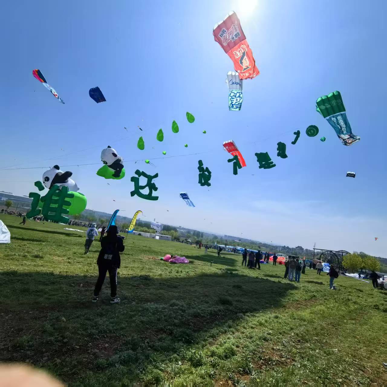 唐山市风筝定制风筝定制 - 价格